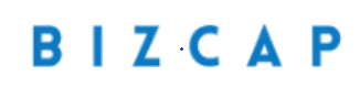 Biz